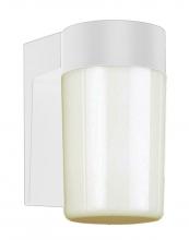 Trans Globe 4810 WH - 1LT WALL-OUTD-CYLINDER OPAL GL